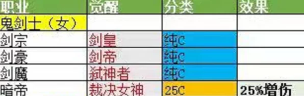DNF25C全解析，揭秘DNF中的神秘职业定位与团队贡献
