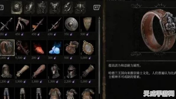 揭秘堕落之主珍稀装备，细骨之戒的获取攻略与最新动态