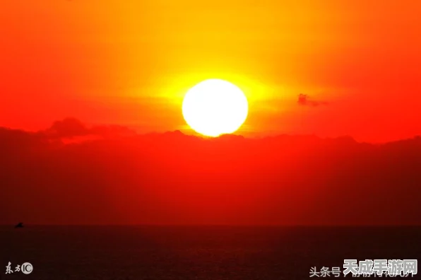 洛克王国乳虎啸谷全攻略，珍稀宠物与豪华奖励一网打尽！
