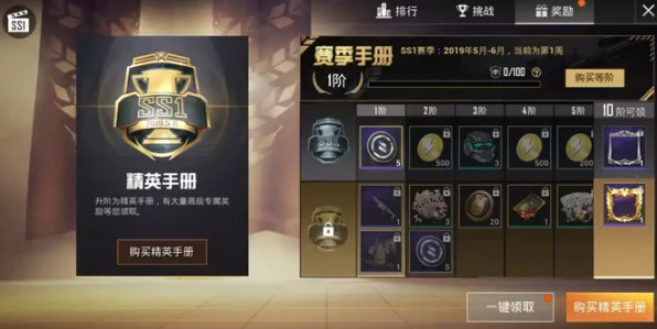 和平精英高手秘籍，出生岛隐藏段位印记技巧大揭秘！
