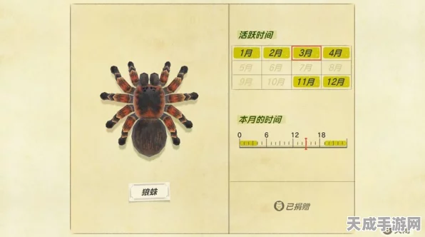 动物森友会狼蛛出没时间全揭秘，掌握规律，轻松捕捉！