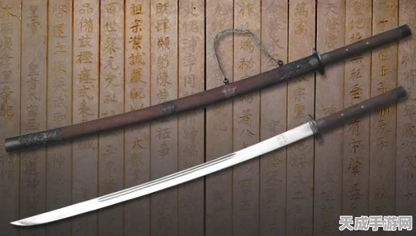 大掌门丁级兵器揭秘，经典钢刀全解析，探寻其规格、性能与历史演变