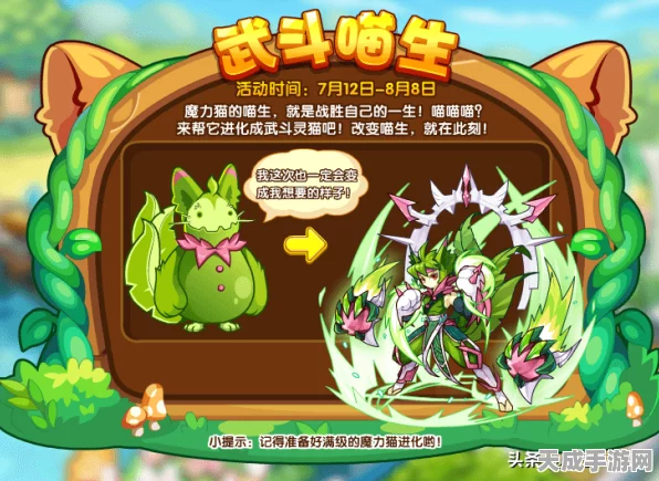 洛克王国，武斗灵猫超进化的神秘地点与详尽攻略