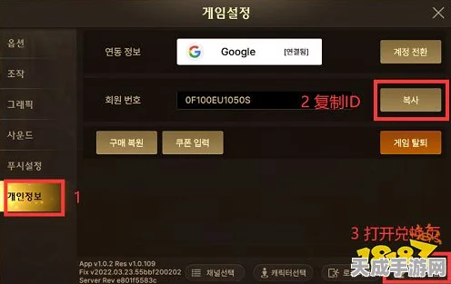 DNF手游韩服独家揭秘，兑换码输入攻略与最新福利活动全览