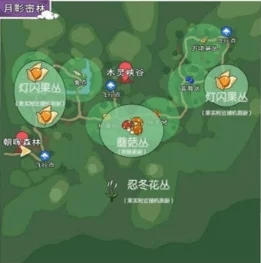 小森生活，揭秘竹子资源高效采集策略，刷新机制全攻略