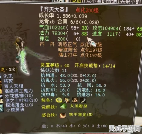 大话西游 2 装备反震程度深度解析，助你称霸江湖！