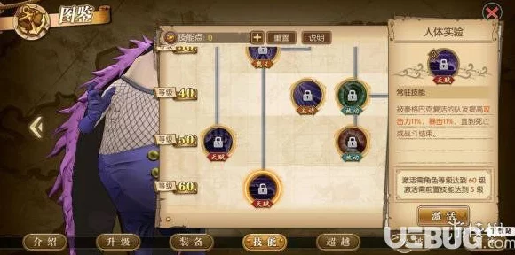 航海王手游角色深度解析，罗宾的传奇之旅与技能揭秘