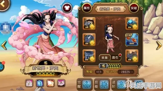 航海王手游角色深度解析，罗宾的传奇之旅与技能揭秘
