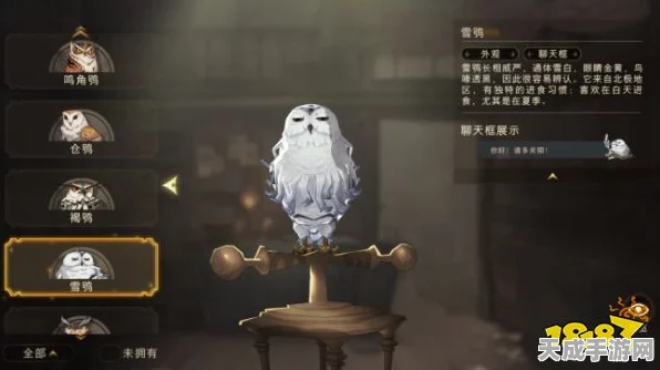 哈利波特魔法觉醒，揭秘小雪鸮获取攻略，解锁魔法世界的独特信使！