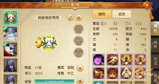 天下手游天机灵兽加点攻略，打造最强灵兽伙伴！