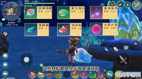 探秘创造与魔法乐园币获取攻略，赢取珍稀道具的独家秘籍