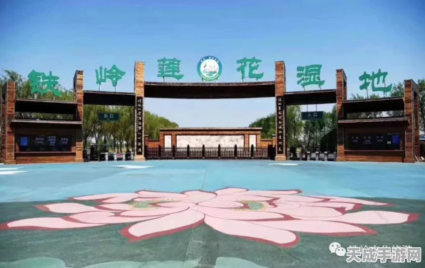 烟雨江湖探秘，塞北宝箱全攻略，树桩坐标一网打尽