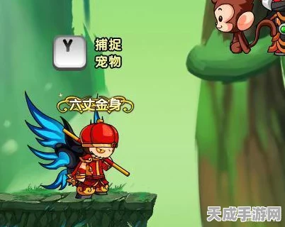 造梦西游4深度解析，风之石宠物应用攻略与最新动态