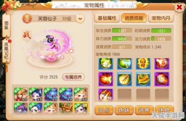 梦幻西游手游，揭秘芙蓉仙子珍稀宠物获取全攻略