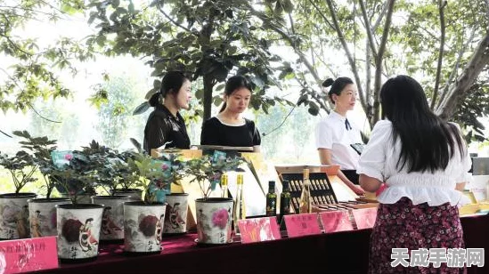 传送门骑士法师顶级出装攻略，解锁法师无限潜能！