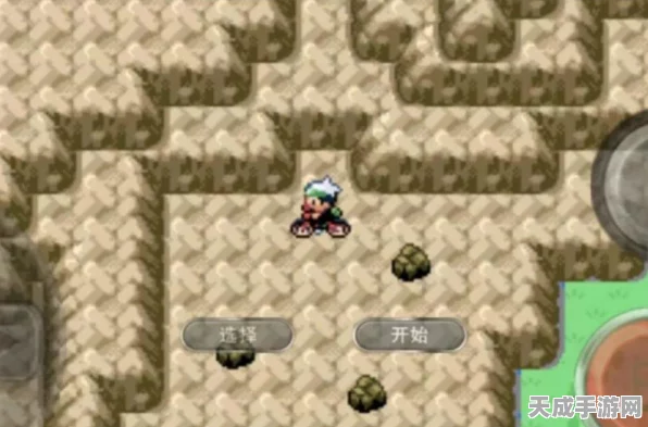 口袋妖怪永恒之沫，解锁二周目的全面攻略与必备任务