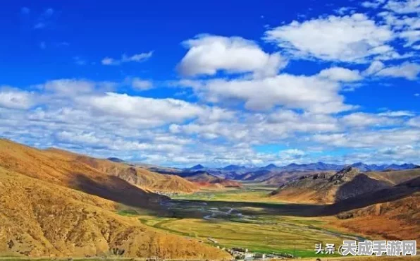 绿茵信仰高手进阶，深度解析操作技巧与实战攻略