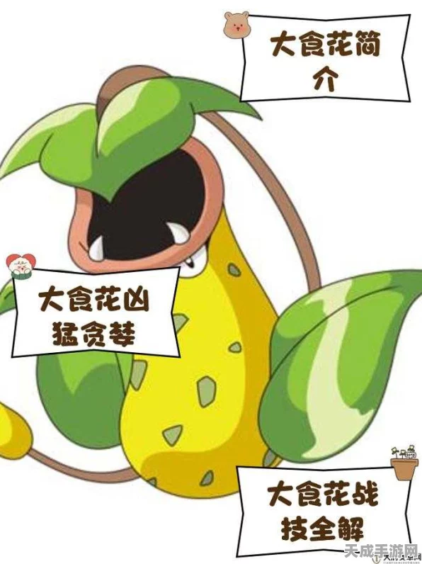 口袋妖怪重制，大食花实力解析与竞技表现