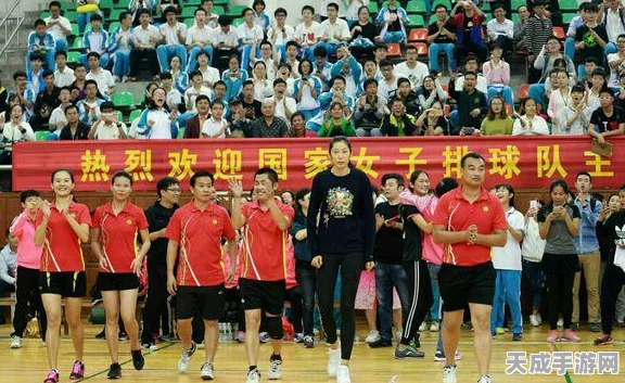 排球少年，新征途极限特训玩法全揭秘，热血激战等你来