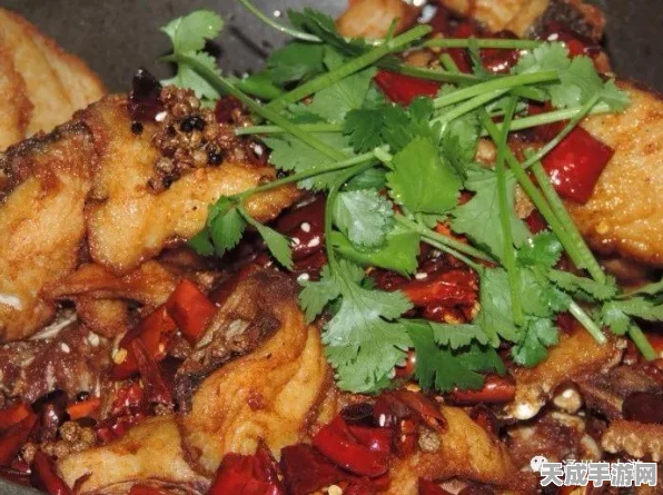 食物语，天香白冀技能深度探秘与实战攻略