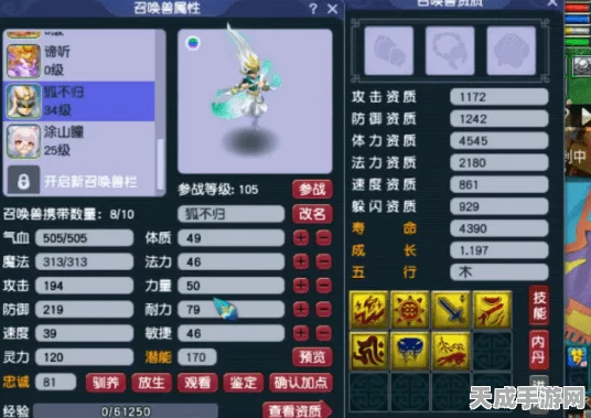 宝可梦对战攻略，揭秘飞行系与相克属性的制胜之道