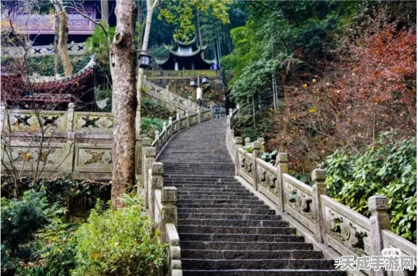 烟雨江湖炼丹秘籍，揭秘珍稀药材获取途径