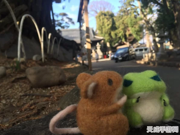 旅行青蛙速归秘籍，高效召回你的萌宠蛙蛙！