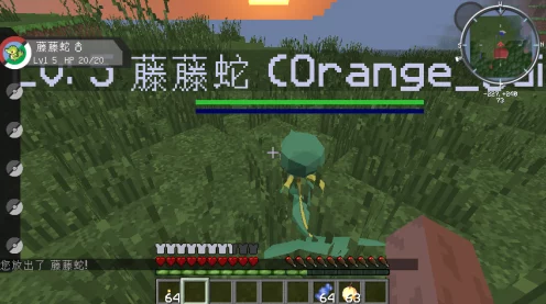我的世界手机版，神奇宝贝MOD大赛引爆热潮，下载攻略全揭秘