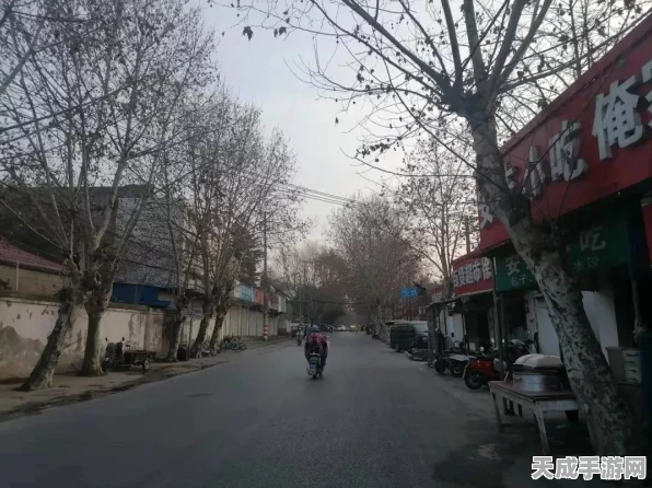 揭秘最强蜗牛老旧终端密码，无限空间解锁攻略