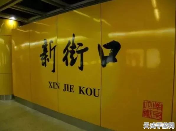 揭秘最强蜗牛老旧终端密码，无限空间解锁攻略