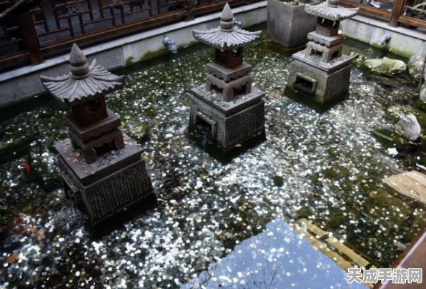 地下城与勇士起源，泰拉高性价比用法全攻略