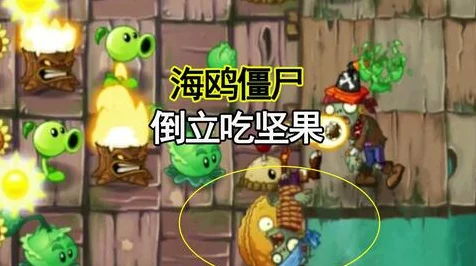 探秘植物大战僵尸 2，豌豆射手的神秘力量