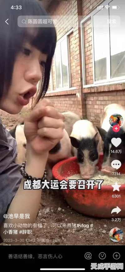 收纳达人之无双柜姐，完美通关秘籍大揭秘