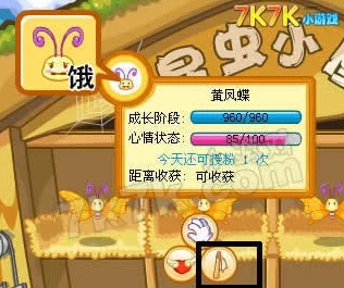 摩尔庄园，探寻枫叶蝶神秘踪迹全攻略