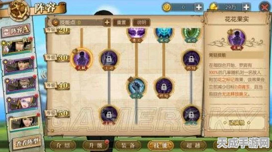航海王燃烧意志，罗宾技能深度剖析，解锁战斗新姿势！