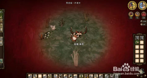 饥荒红雀羽毛，解锁生存新策略，打造独特装备与道具