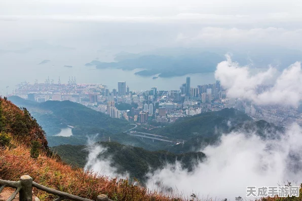新月同行，梧桐技能大揭秘，助你称霸战场