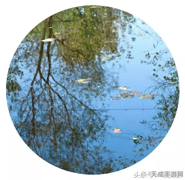 新月同行，梧桐技能大揭秘，助你称霸战场