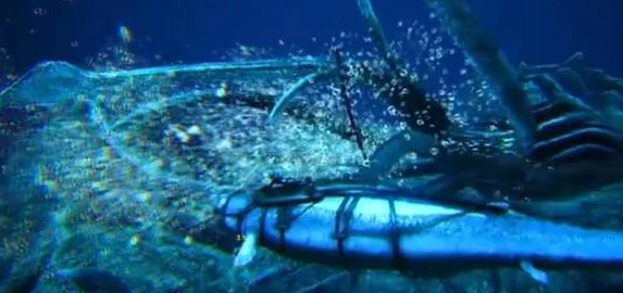 方舟手游食物显示设置秘籍大公开