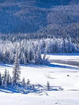动物餐厅雪花获取全攻略，解锁冬日奇遇的钥匙