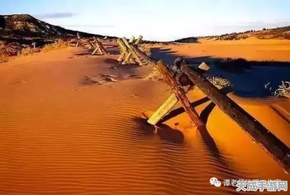 黑色沙漠，征服壮阔大海的终极攻略指南