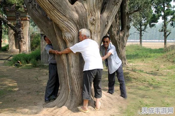 暗黑不朽揭秘，先祖祝福时效大揭秘，永久属性还是限时福利？