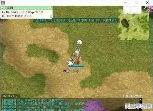 仙境传说RO，守护永恒之爱的职业深度剖析与竞技策略