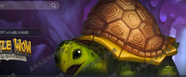 揭秘魔兽世界乌龟服，独特玩法与激情挑战并存