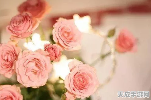 植物大战僵尸秘籍大公开，一键解锁自动收集阳光技巧