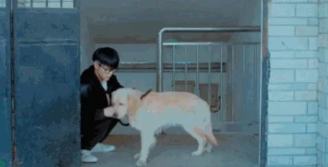 萌犬变身恐怖伙伴，闹鬼爪子Steam惊悚上架，中文支持全开启！