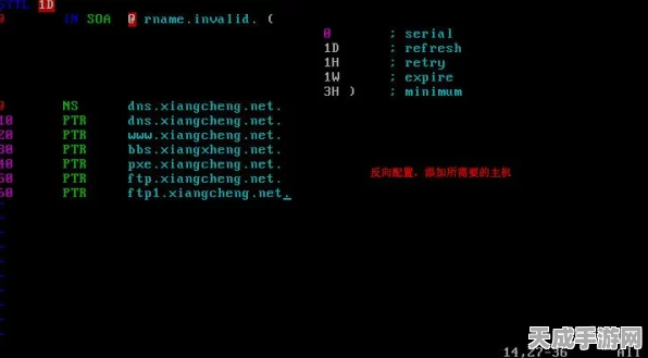 塔瑞斯世界服务器进不去？全面解析与应对策略