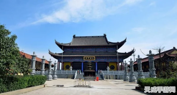 原神奇药庐中来，详尽任务流程揭秘与隐藏奖励探索