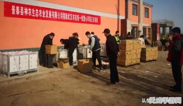 方舟生存进化手游，全新生存挑战，探索未知世界的冒险启程