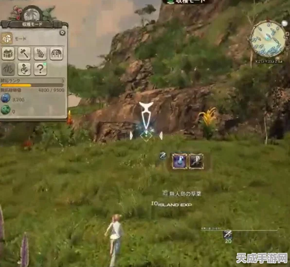 FF14无人岛探险，揭秘木化石获取全攻略